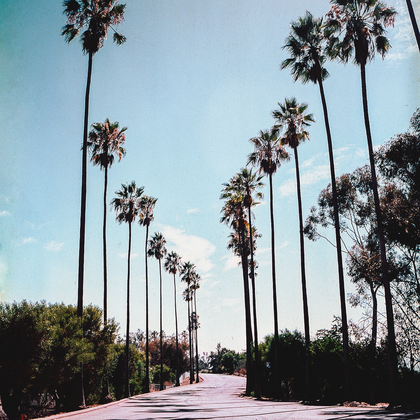 Locals Only by DEMI
